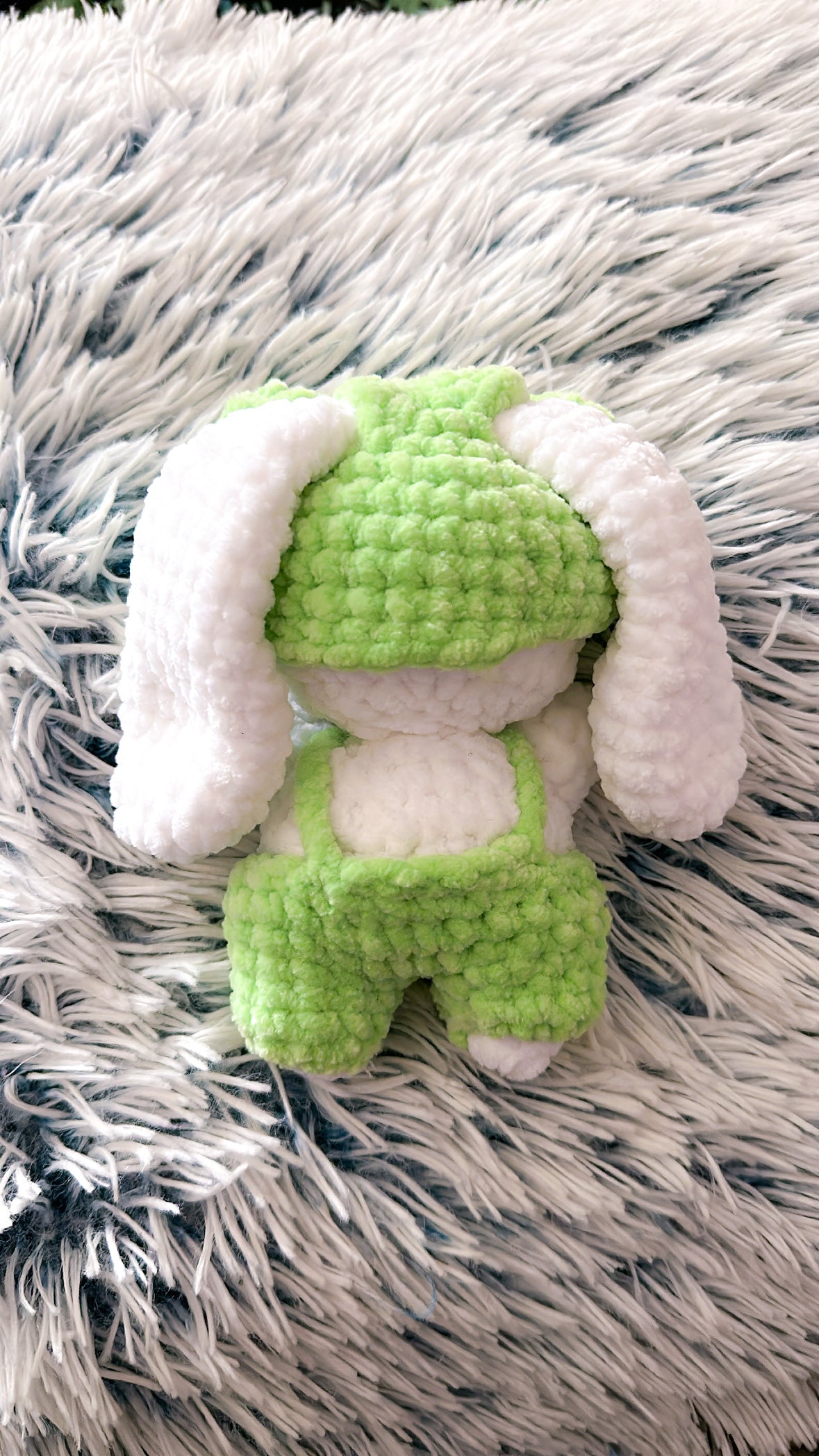 Froggy Bunny